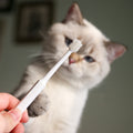 360° Pet Toothbrush - Full Coverage Oral Cleaning for Dogs & Cats