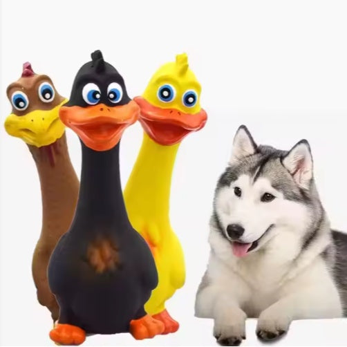 Screaming Duck Latex Dog Toy - Squeaky Interactive Chew for All Breeds