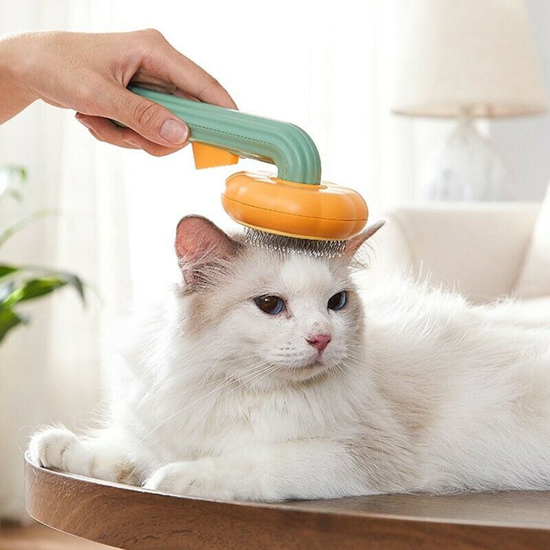 Pumpkin Self-Cleaning Pet Grooming Brush - Deshedding & Detangling for Cats & Dogs