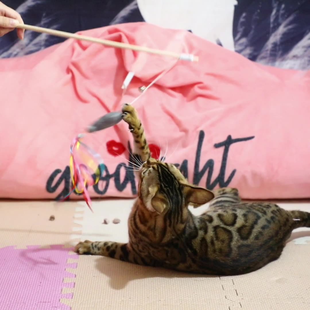 Cat Wand Toy with Catnip Fish & Ribbons - Interactive Teaser