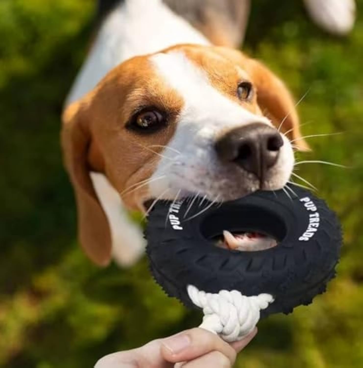 Indestructible Tire Dog Chew Toy - Treat Dispensing for Aggressive Chewers