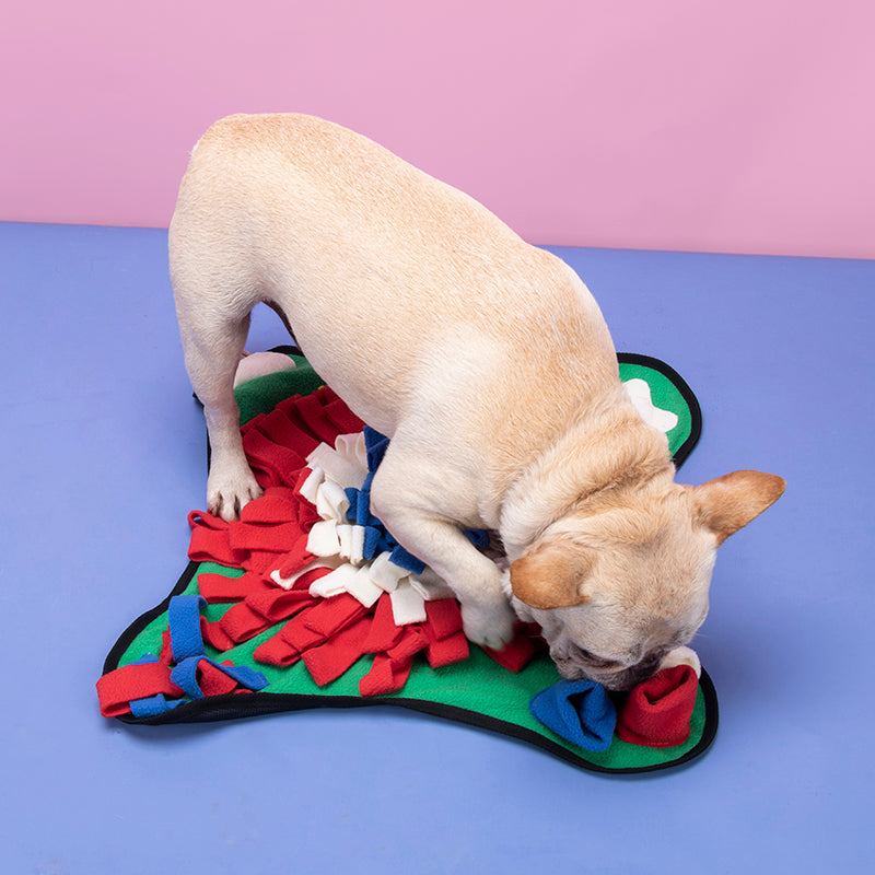 Dog foraging in snuffle mat pockets