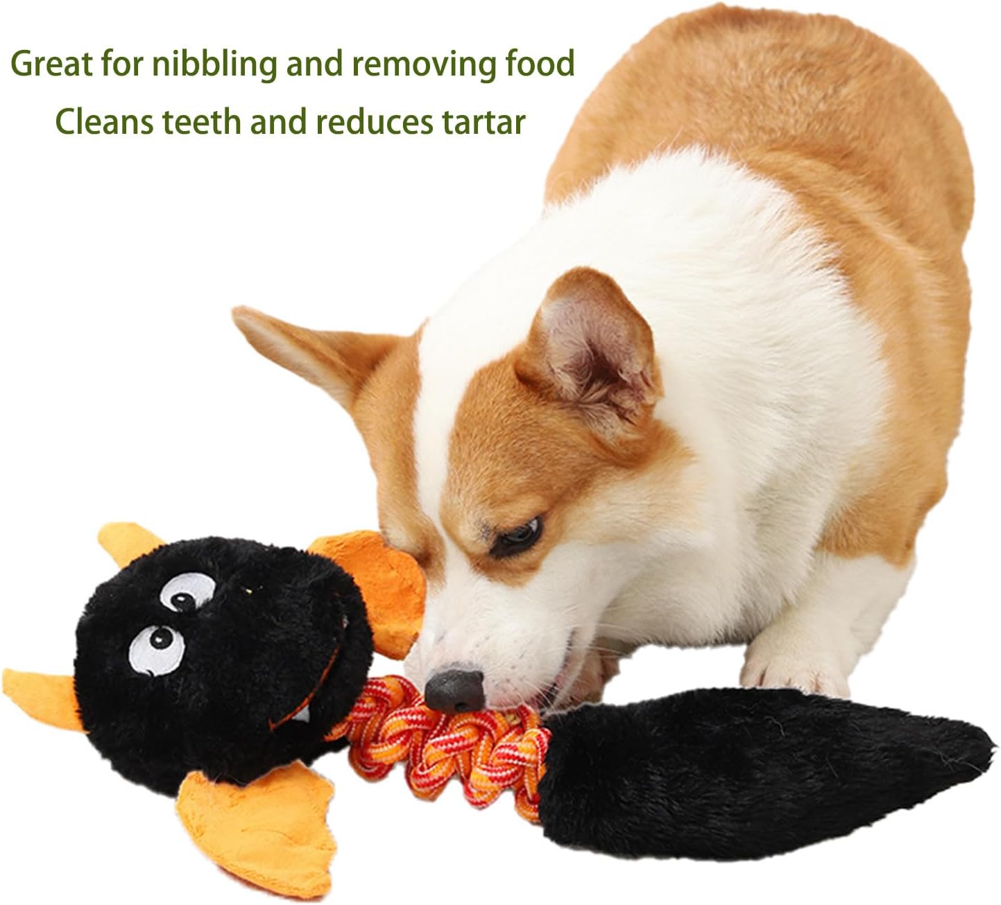 Plush Squeaky Dog Toy - Dental Chew for Teeth Cleaning & Tartar Removal
