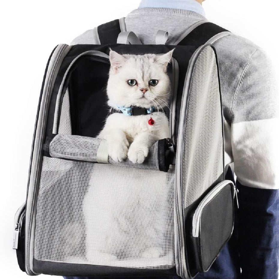 PetArt Bubble Window Backpack - Airline Approved Pet Carrier for Cats & Small Dogs