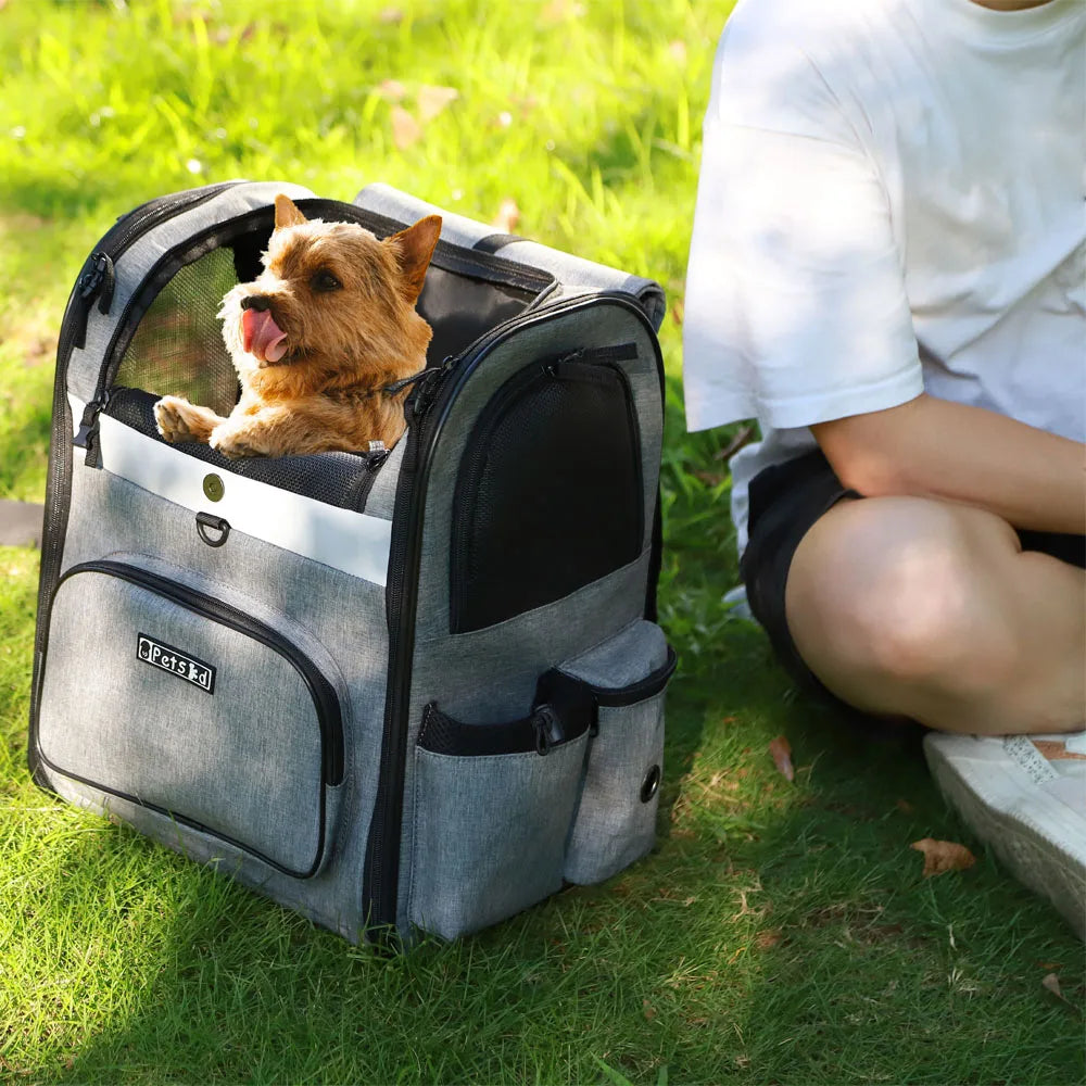 Sturdy Frame Pet Carrier Backpack - Double Shoulder Dog & Cat Travel Bag