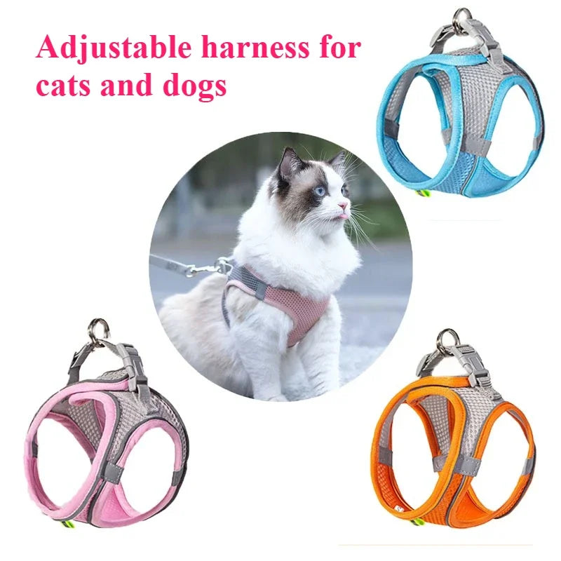 Cat Dog Toys for Aggressive Chewers - Squeaky Duck Plush