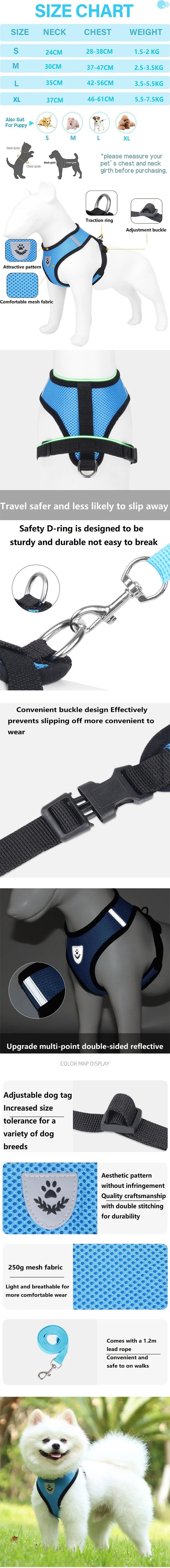 Adjustable Cat & Dog Harness with Leash - Escape Proof Vest