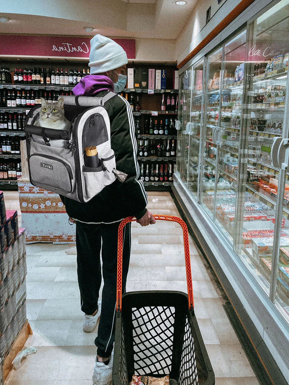 Sturdy Frame Pet Carrier Backpack - Double Shoulder Dog & Cat Travel Bag