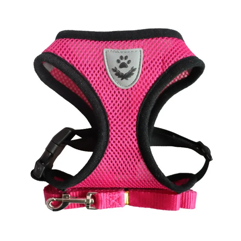 Adjustable Cat & Dog Harness with Leash - Escape Proof Vest
