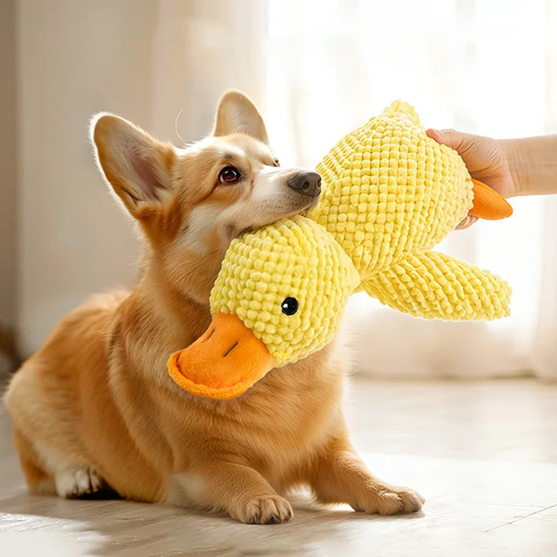 Cat Dog Toys for Aggressive Chewers - Squeaky Duck Plush