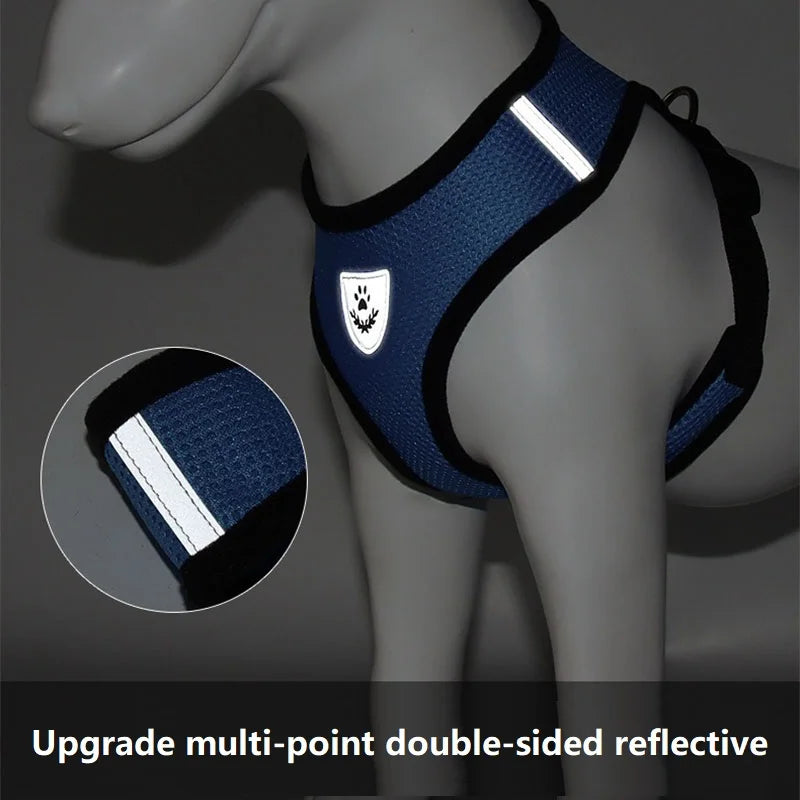 Adjustable Cat & Dog Harness with Leash - Escape Proof Vest
