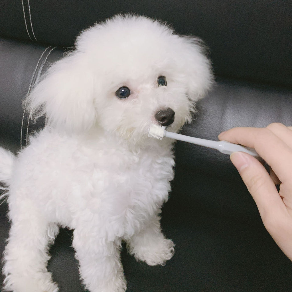 360° Pet Toothbrush - Full Coverage Oral Cleaning for Dogs & Cats