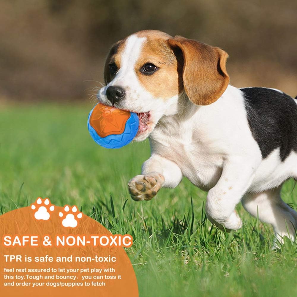 Floating Dog Pool Toy - Squeaky Fetch Toy for Beach & Water Play