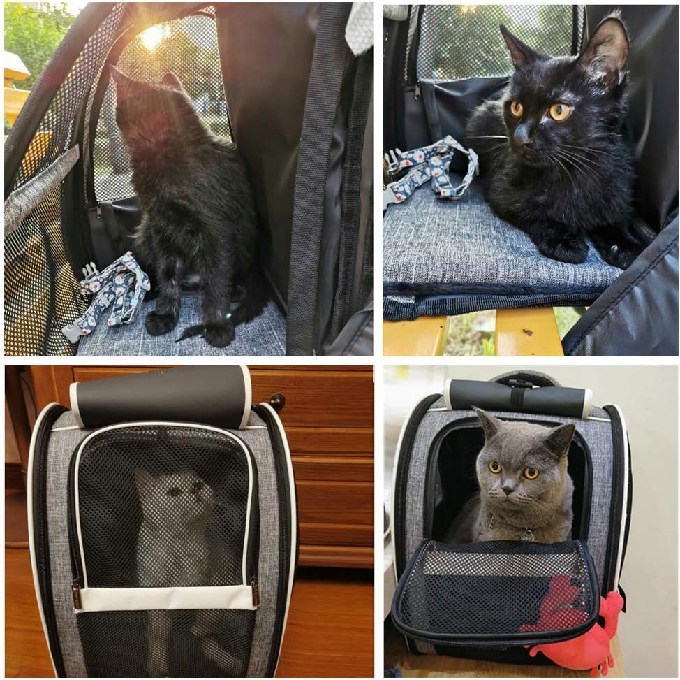 PetArt Bubble Window Backpack - Airline Approved Pet Carrier for Cats & Small Dogs