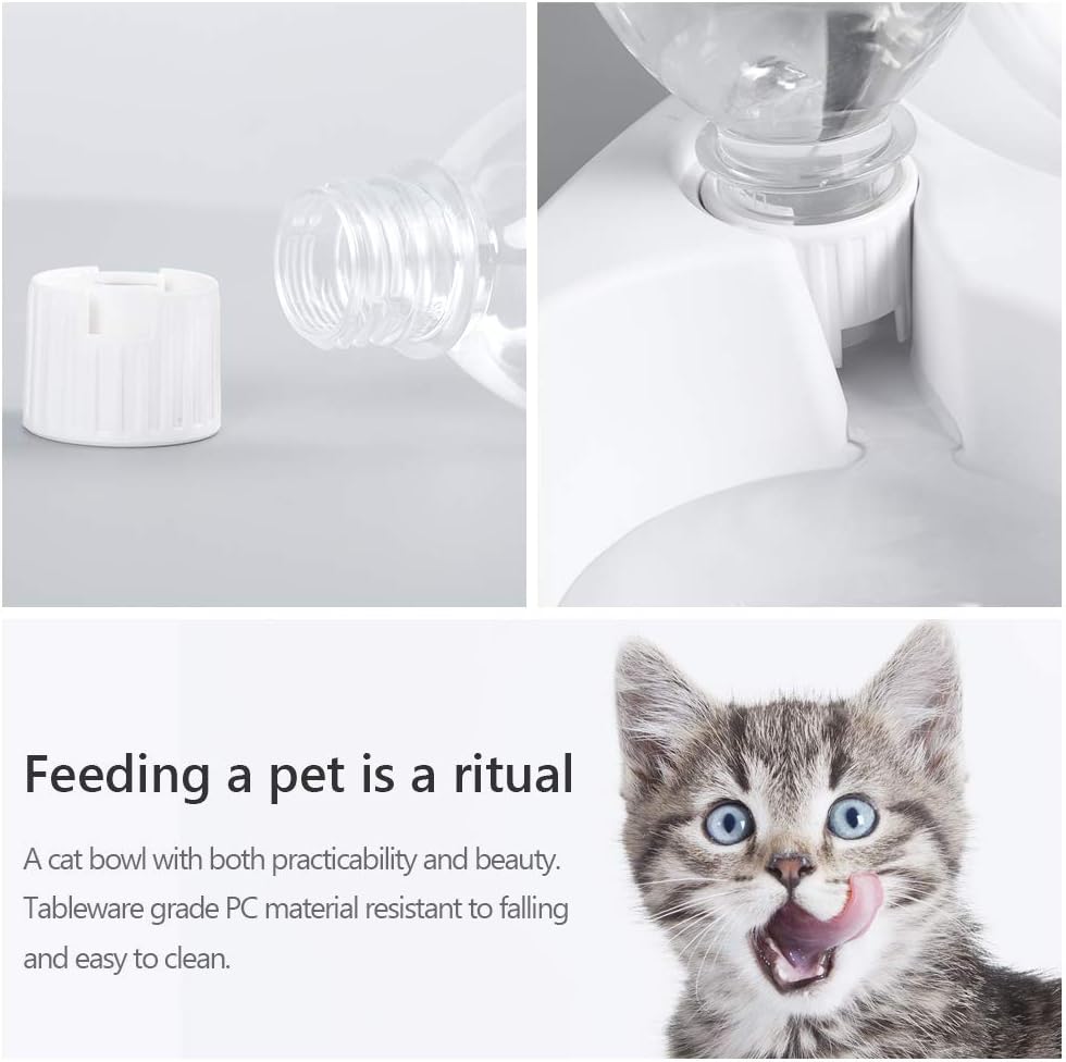 15° Tilted Double Pet Bowl with Auto Water Dispenser - Elevated Feeding Station for Cats & Small Dogs