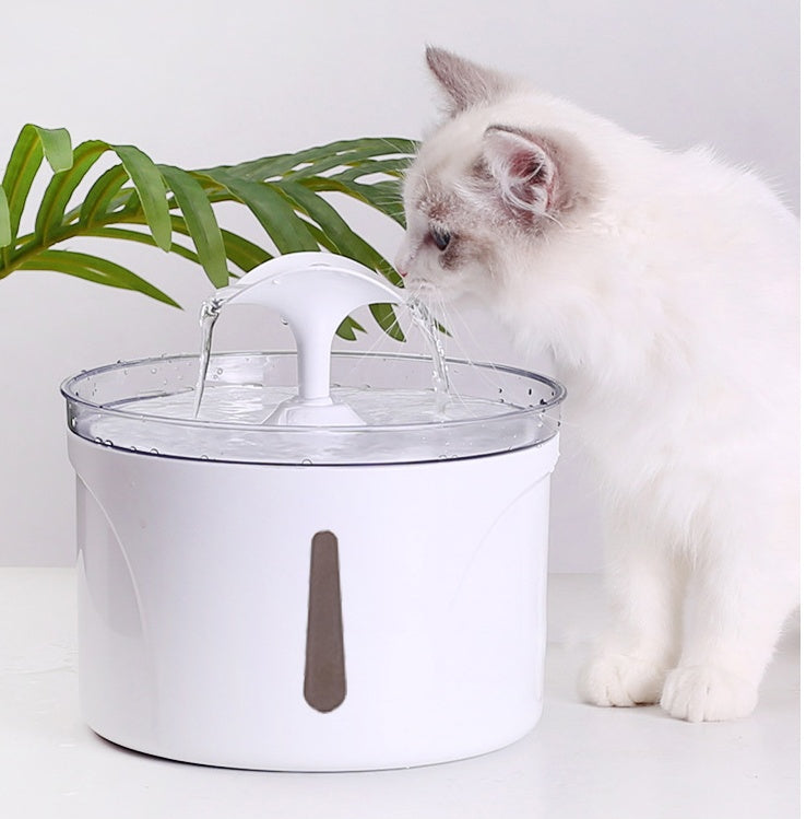 Smart circulating pet water fountain front view