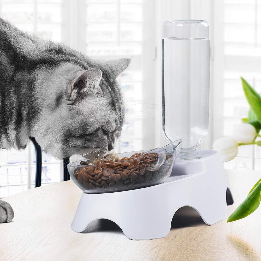 15° Tilted Double Pet Bowl with Auto Water Dispenser - Elevated Feeding Station for Cats & Small Dogs