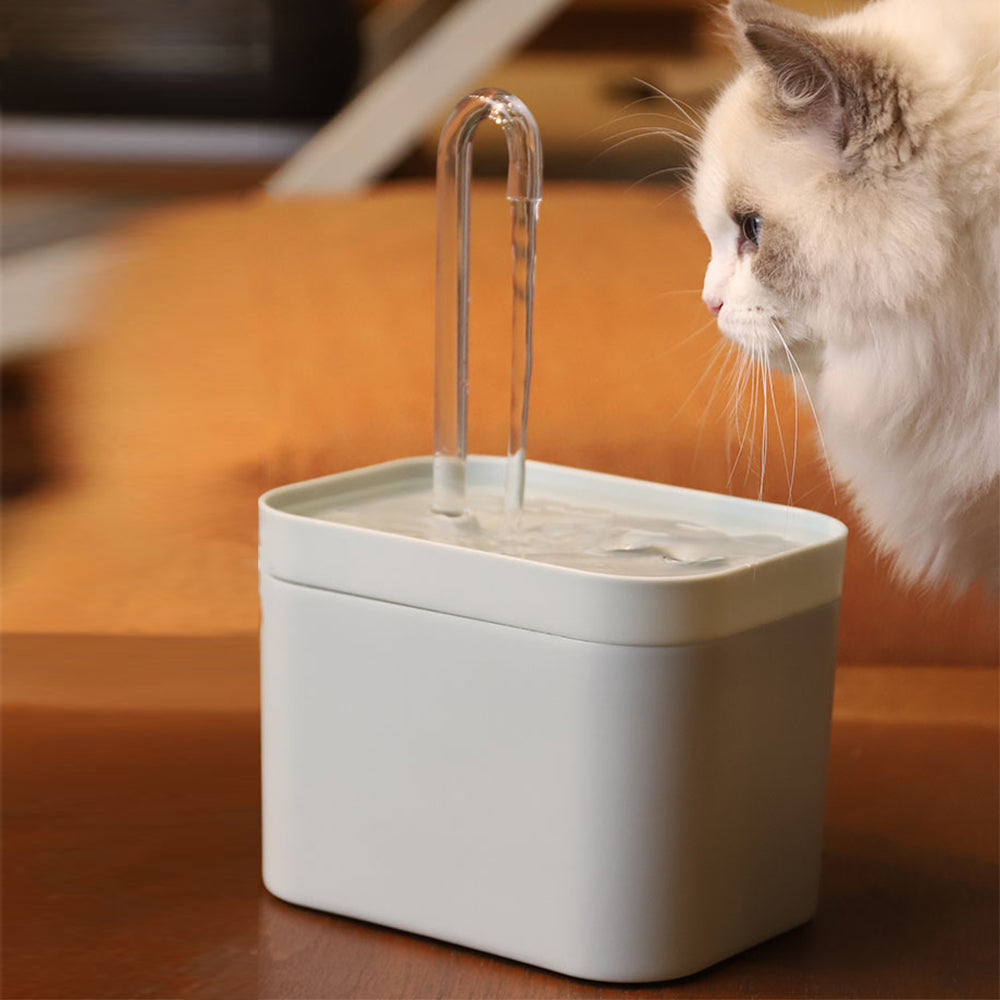 1.5L auto-filter cat water fountain overview