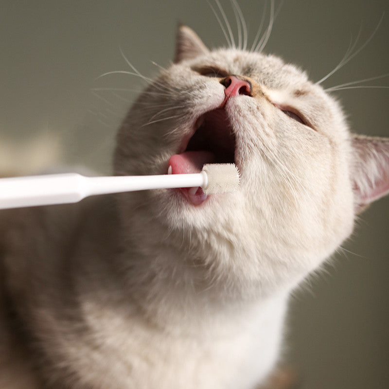 360° Pet Toothbrush - Full Coverage Oral Cleaning for Dogs & Cats