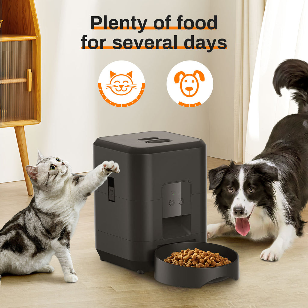 Automatic pet feeder features overview