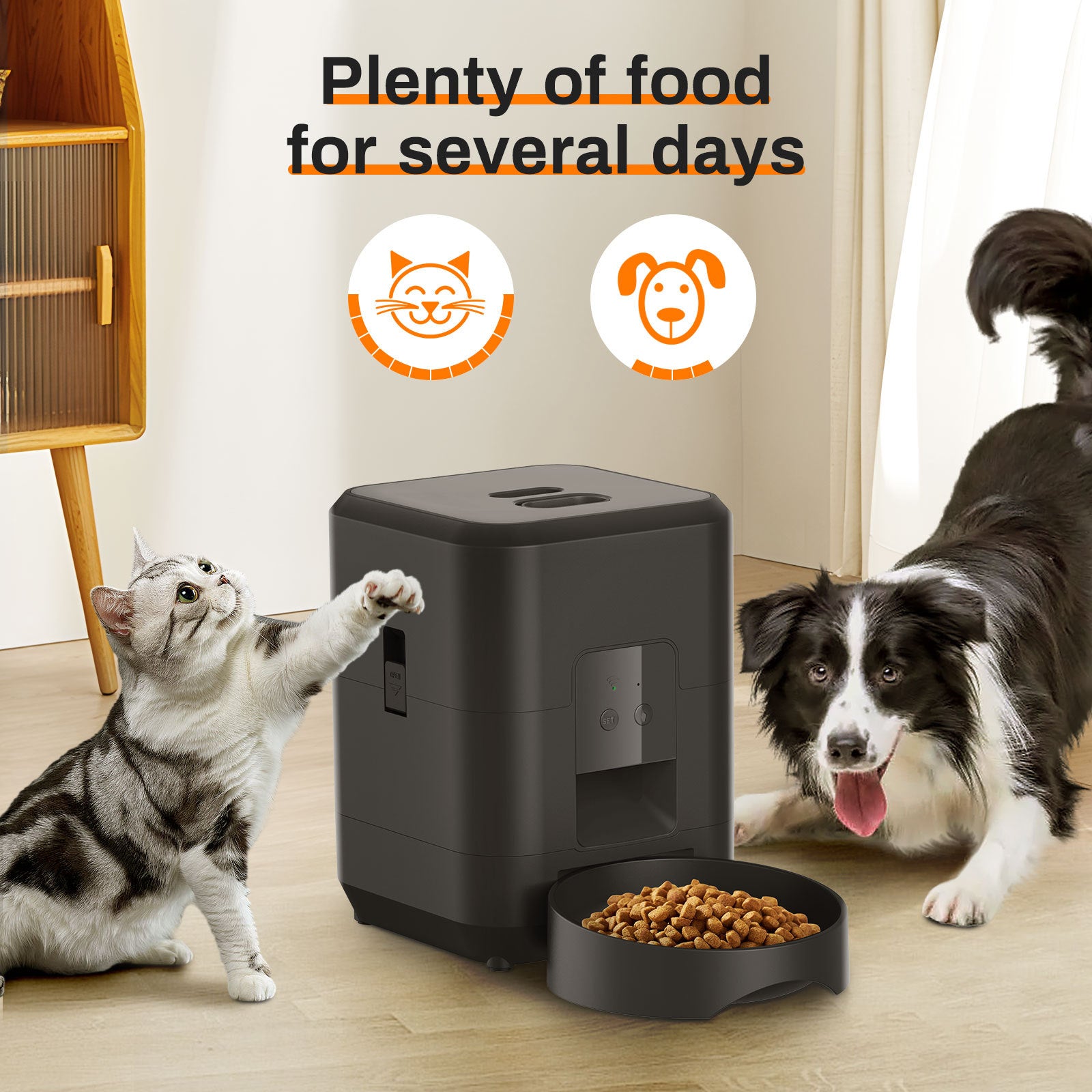 Automatic pet feeder features overview