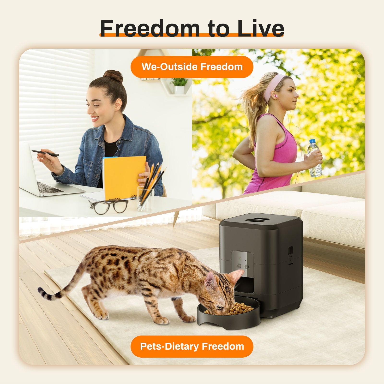 Pet feeder portion control and scheduling