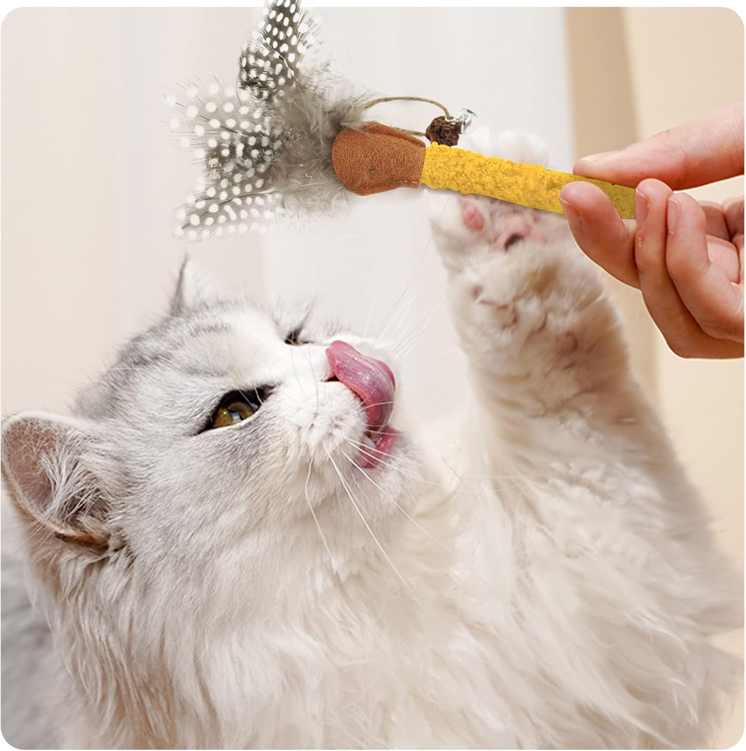 Natural Silvervine Cat Chew Stick with Feather