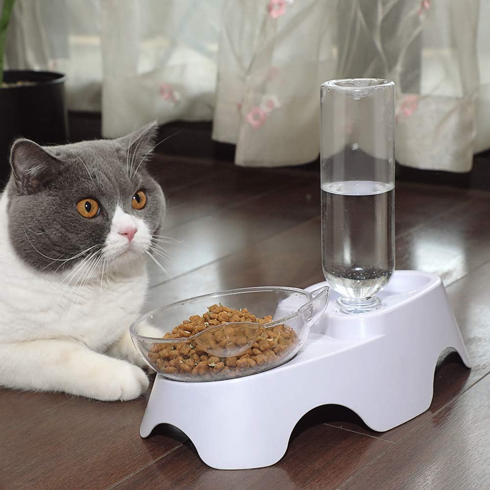 15° Tilted Double Pet Bowl with Auto Water Dispenser - Elevated Feeding Station for Cats & Small Dogs